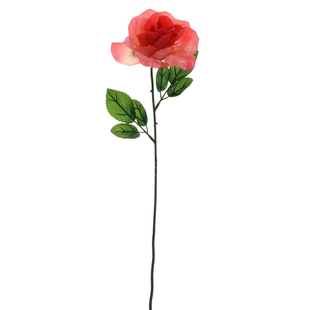 10263019.jpg img